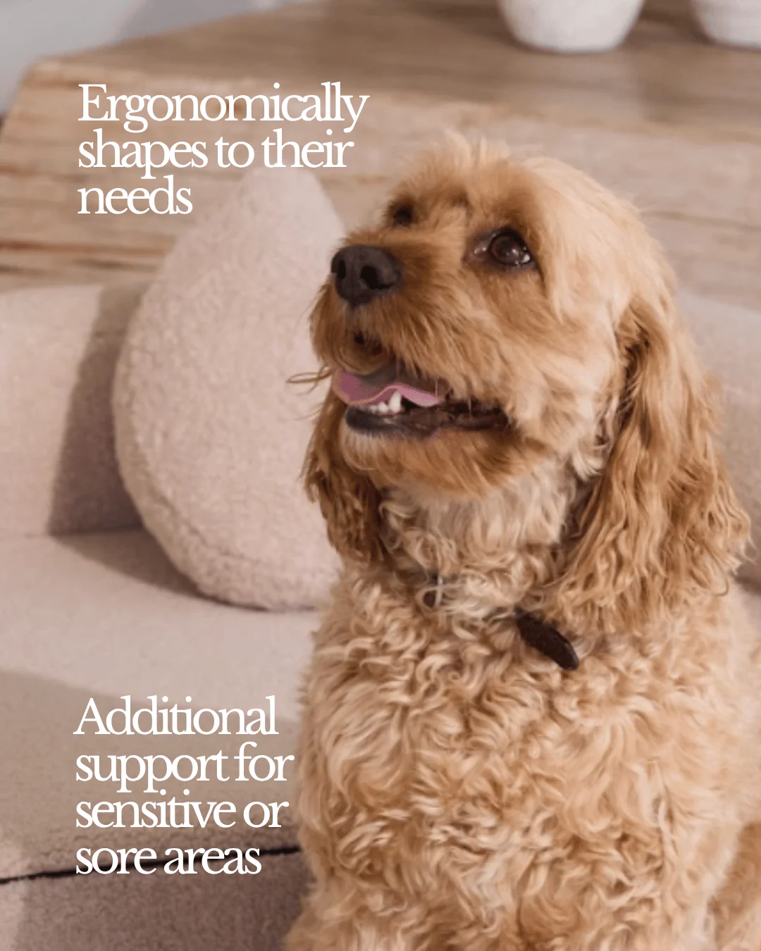 The Comfort Pillow (Oat) - Image 6